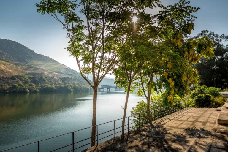 Cais da Ferradosa, São João da Pesqueira, Coração do Douro, Douro Valley