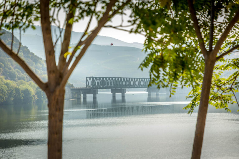 Cais da Ferradosa, São João da Pesqueira, Coração do Douro, Douro Valley